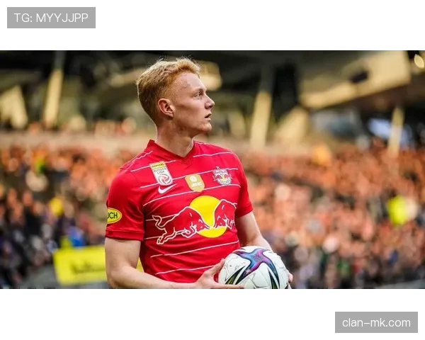 德甲新赛季引援热潮涌动，各队新援名单持续扩容